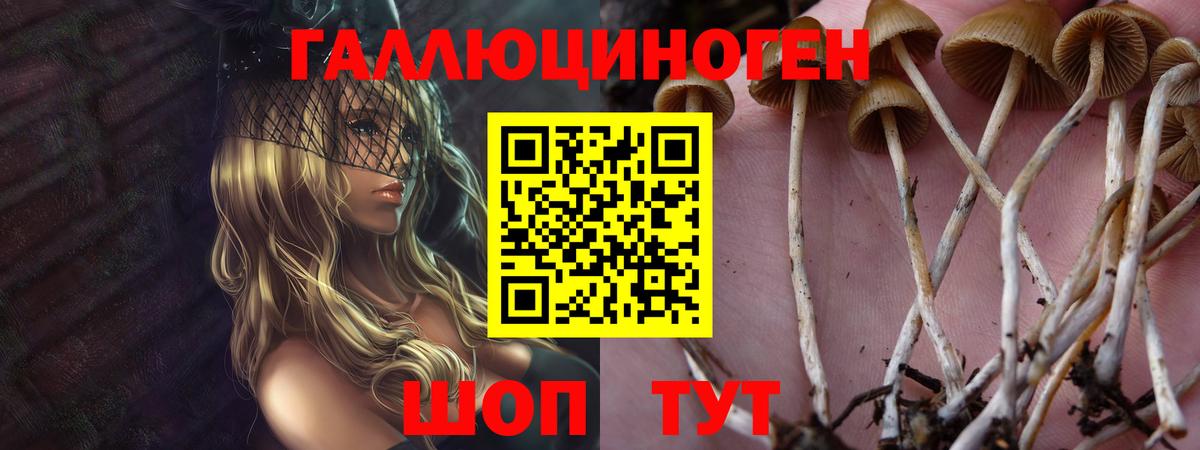Псилоцибиновые грибы Magic Shrooms  Псилоцибиновые грибы мухоморы  Кубинка  Вход с VPN 